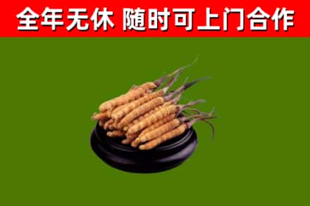 华坪烟酒回收冬虫夏草.jpg